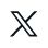 X Icon